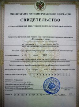 13 марта 2017 года запись о некоммерческой организации ПРОО "Пензенские лучики" внесена в единый государственный реестр юридических лиц